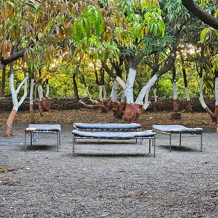 The Wilds Villa Gir Jungle Stay With Swimming Pool-2